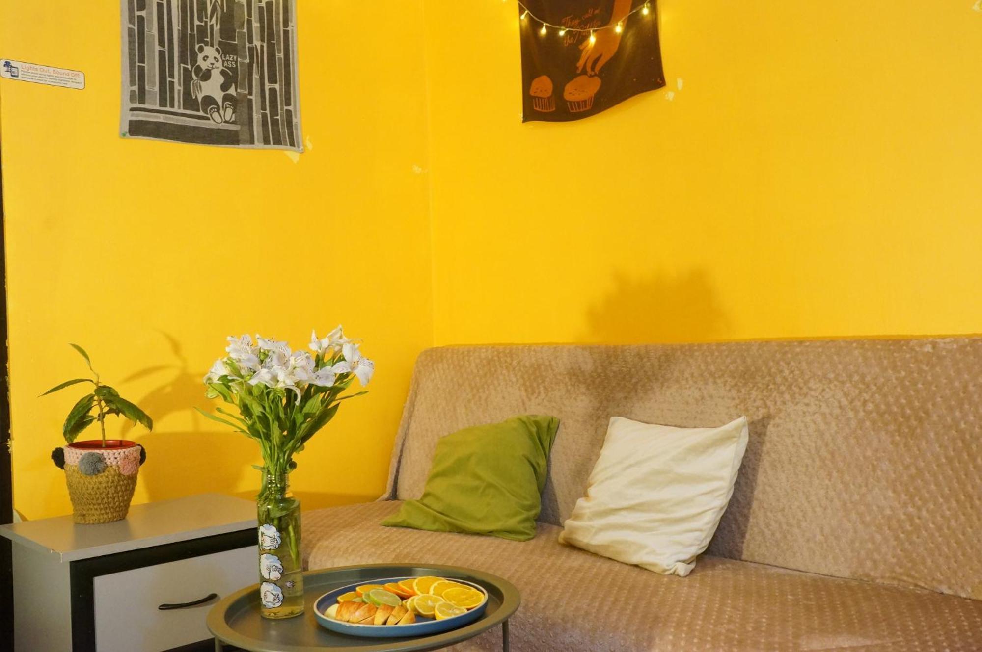 Harmony Backpackers Hostel باتومي المظهر الخارجي الصورة