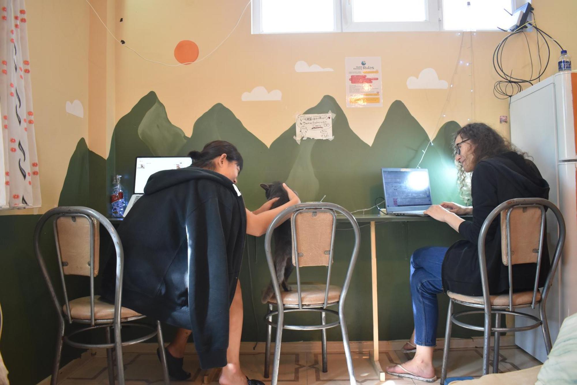 Harmony Backpackers Hostel باتومي المظهر الخارجي الصورة